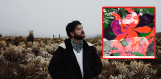 ‘El bosque del alma’, de Daniel Castillo: introspección, indie y músicas campesinas