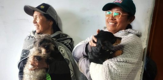 Esterilizaciones caninas y felinas gratuitas en zonas urbana y rural de Tunja