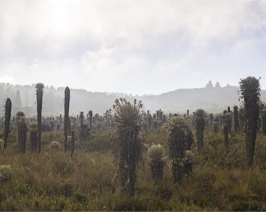 Corpoboyacá avanza con el pago por servicios ambientales en el Parque Natural Regional La Cortadera