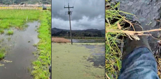 Denuncian presunta responsabilidad de Corpoboyacá en la contaminación del Lago de Tota