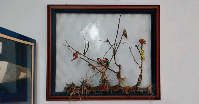 peluqueria-jaime-tunja