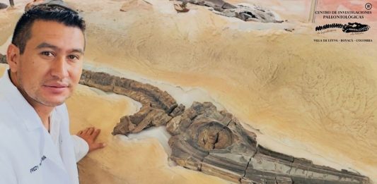 Boyacá entra en la historia de la paleontología continental