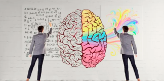 Duitama será ciudad anfitriona de la Semana del Cerebro Colombia 2026