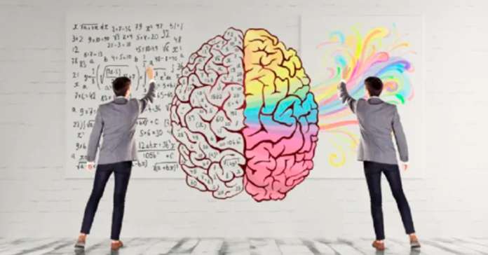 cerebro