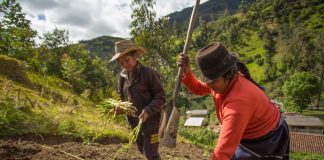 América Latina no logra cerrar la brecha entre género y clima