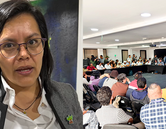 Diputada advierte tensiones en mesa catastral y pide decisiones políticas para destrabar la crisis