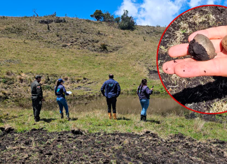 Alerta en Saboyá: actividades agrícolas en páramo ponían en riesgo el agua de la región