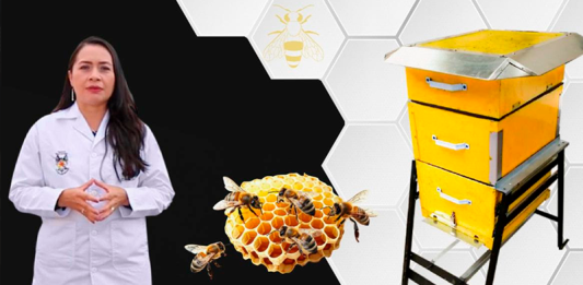 UPTC obtiene dos nuevas patentes para modernizar la apicultura y proteger las abejas en Boyacá