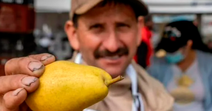 pera-alimento-campo-campesino