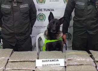 30 capturas y más de 20 kilos de droga incautados: balance semanal de la Policía en Tunja