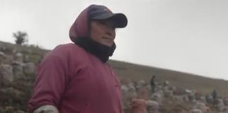ADR lanza canción en homenaje a los campesinos colombianos