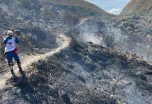 Incendio de Villa de Leyva ya deja 383 hectáreas quemadas; Iguaque es ahora la mayor preocupación