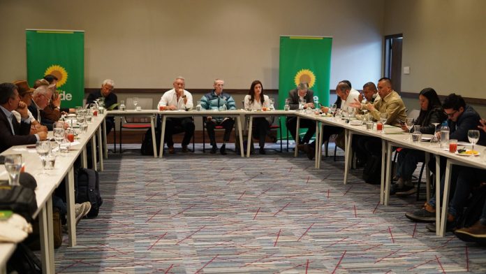 partido verde