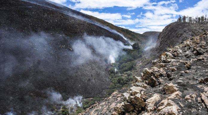 Hoy podría quedar extinguido el incendio de Iguaque
