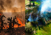 Incendios ponen en alerta a 90 municipios de Boyacá: 26 emergencias en solo 30 días