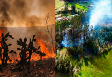 Incendios ponen en alerta a 90 municipios de Boyacá: 26 emergencias en solo 30 días