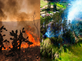 Incendios ponen en alerta a 90 municipios de Boyacá: 26 emergencias en solo 30 días