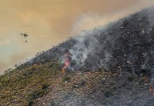Apagar el incendio no acaba la emergencia: recuperar lo quemado podría tomar hasta 30 años