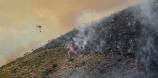 Apagar el incendio no acaba la emergencia: recuperar lo quemado podría tomar hasta 30 años