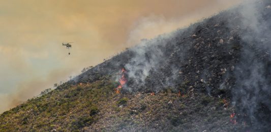 Apagar el incendio no acaba la emergencia: recuperar lo quemado podría tomar hasta 30 años