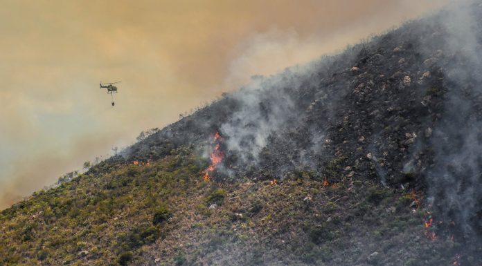 Apagar el incendio no acaba la emergencia: recuperar lo quemado podría tomar hasta 30 años
