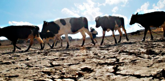 Ya son 36 los municipios de Boyacá con dificultades para abastecerse de agua