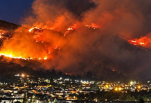 El incendio del Alto Ricaurte, en cifras