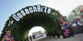 Esta es la programación de hoy en CosechArte, junto al estadio