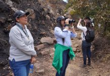 Corpoboyacá ha estado evaluando la afectación de flora y fauna tras incendio en Villa de Leyva