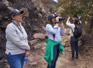 Corpoboyacá ha estado evaluando la afectación de flora y fauna tras incendio en Villa de Leyva