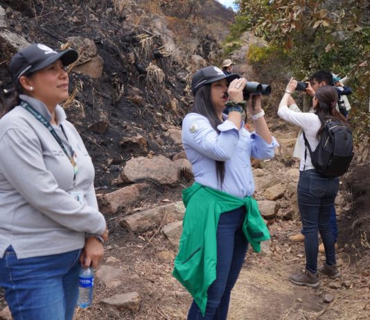 Corpoboyacá ha estado evaluando la afectación de flora y fauna tras incendio en Villa de Leyva