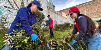 Veolia se sumó a la recuperación del humedal La Presentación y llevará educación ambiental a los colegios