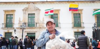 Una de cada cuatro papas de Colombia sale de Boyacá: hoy los productores se toman la Plaza de Bolívar